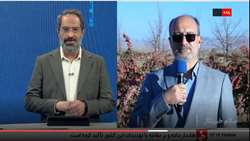 فرآوری محصولات کشاورزی در خراسان جنوبی نیازمند ورود سرمایه گذار است